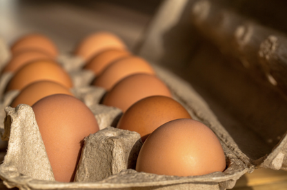 A dozen eggs in a brown carton